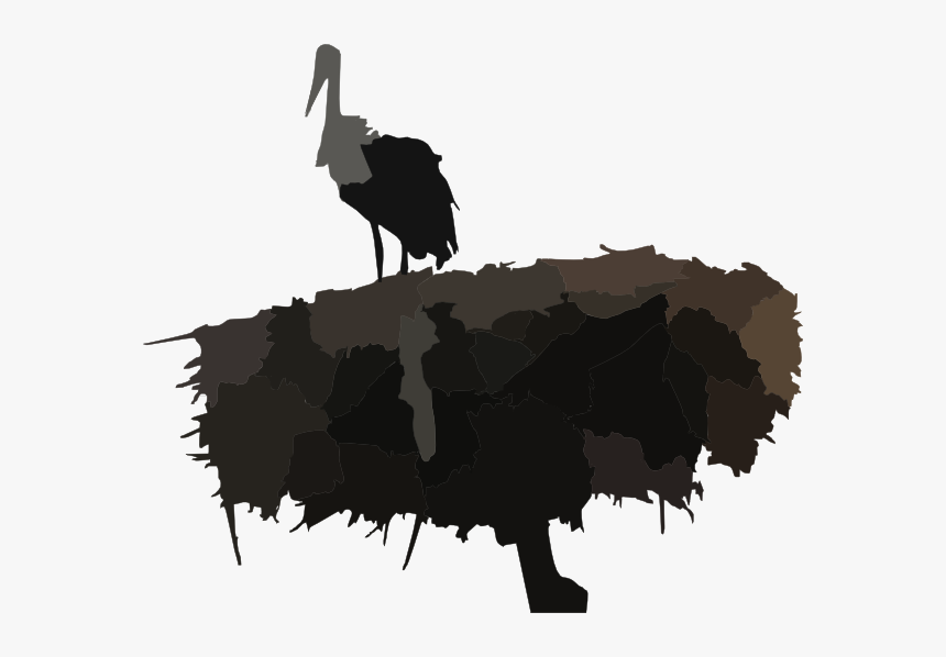 Transparent Stork Png - Stork, Png Download