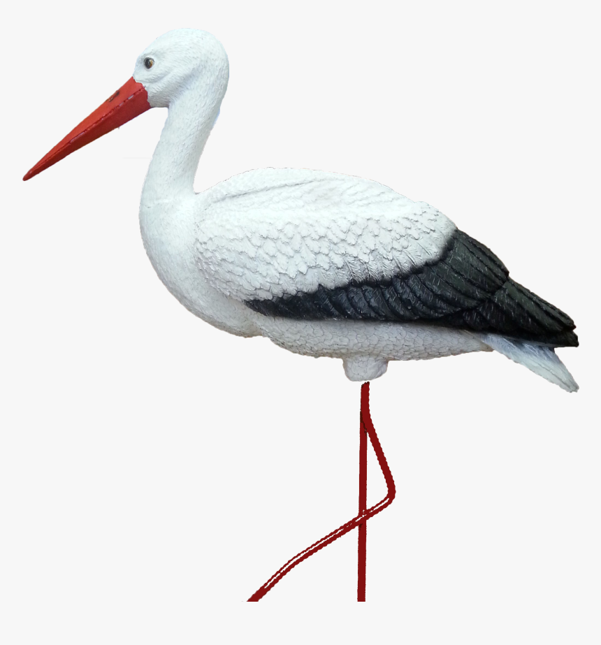 Stork Png - Аист Png, Transparent Png