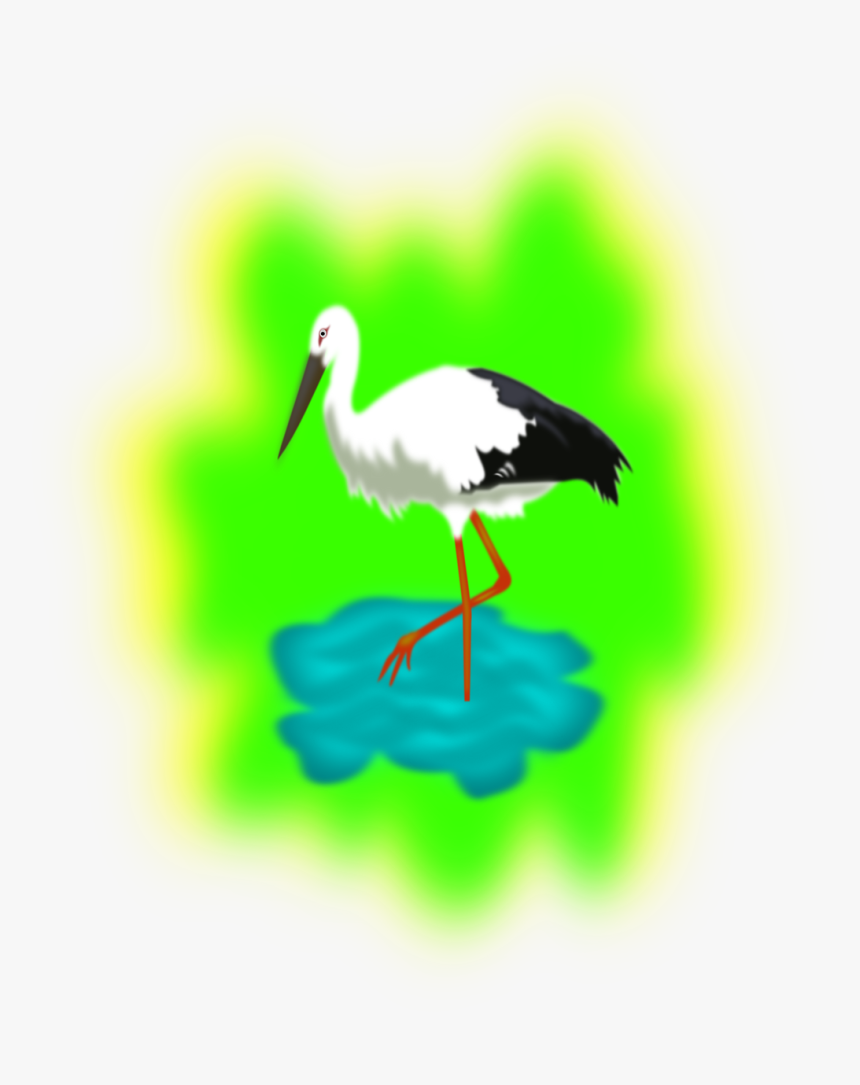 Stork In Water Clipart, HD Png Download