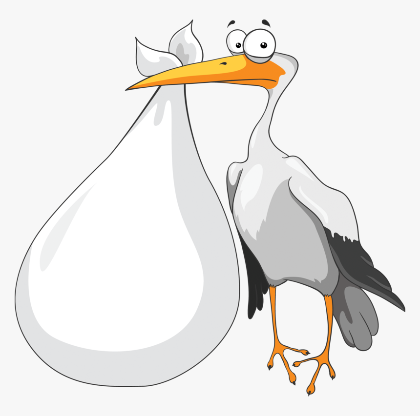 Background Baby Stork Transparent - Png Stork Baby, Png Download