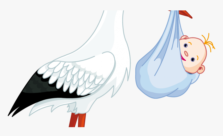 Stork With Baby Png Clipart , Png Download - Stork Baby Png, Transparent Png
