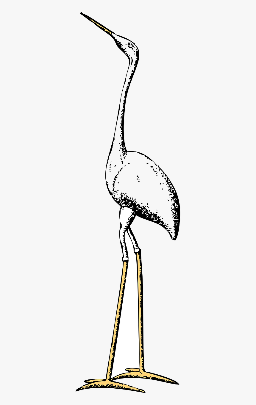 Tall Stork, HD Png Download