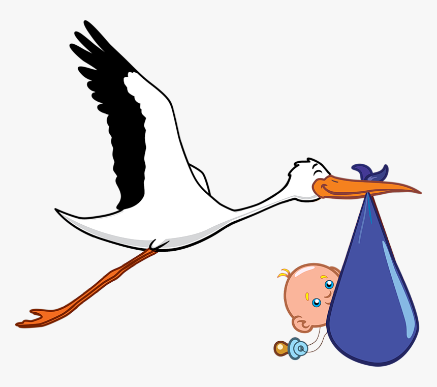Stork Png, Transparent Png