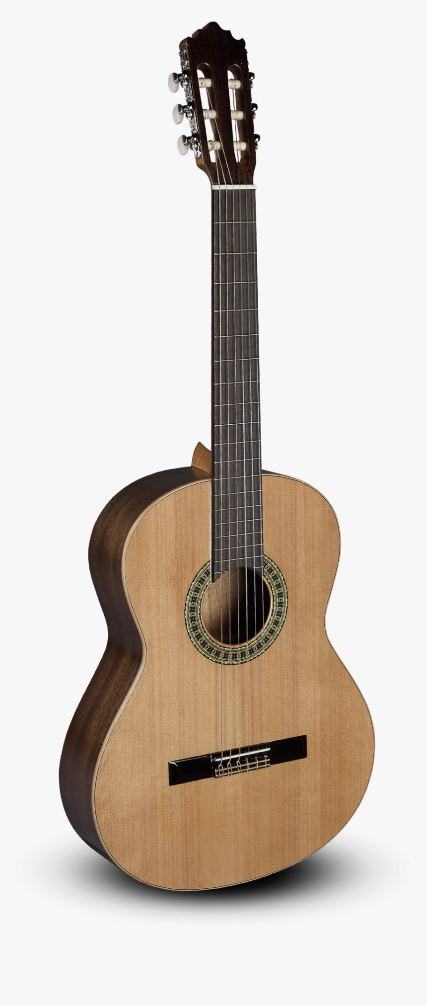 Classical Cutaway Alhambra Guitar Steel-string African - Alhambra Nature Cw Ez, HD Png Download