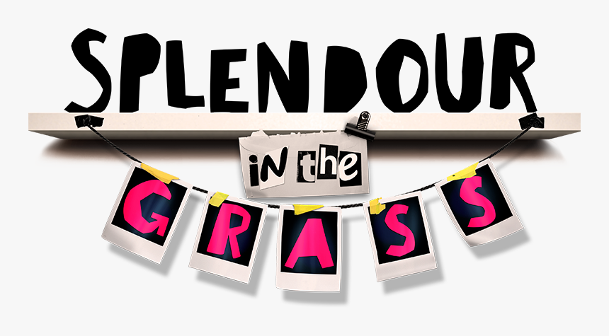 Pcfml @ Splendour In The Grass, HD Png Download