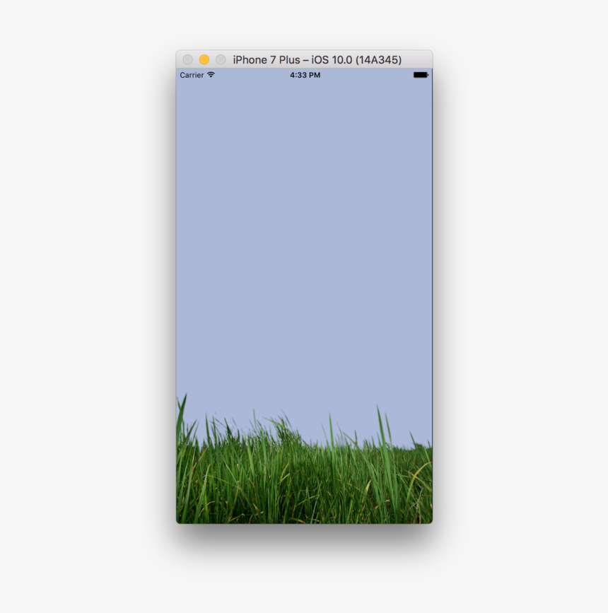 Grass, HD Png Download