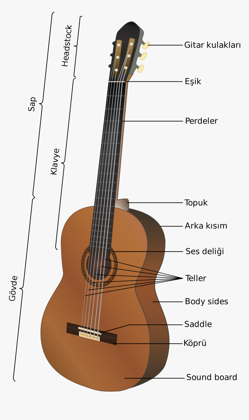 Partes De La Guitarra , Png Download - Partes De La Guitarra Española, Transparent Png