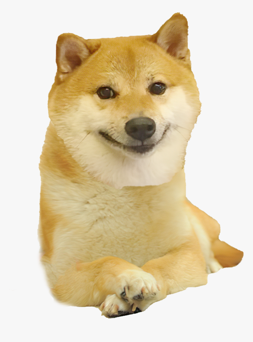 Boi Png, Transparent Png