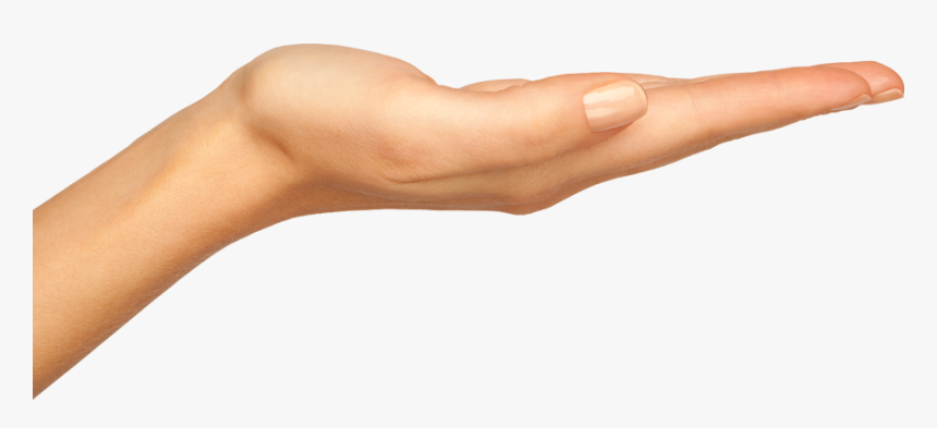 Skeleton Hand Png, Transparent Png