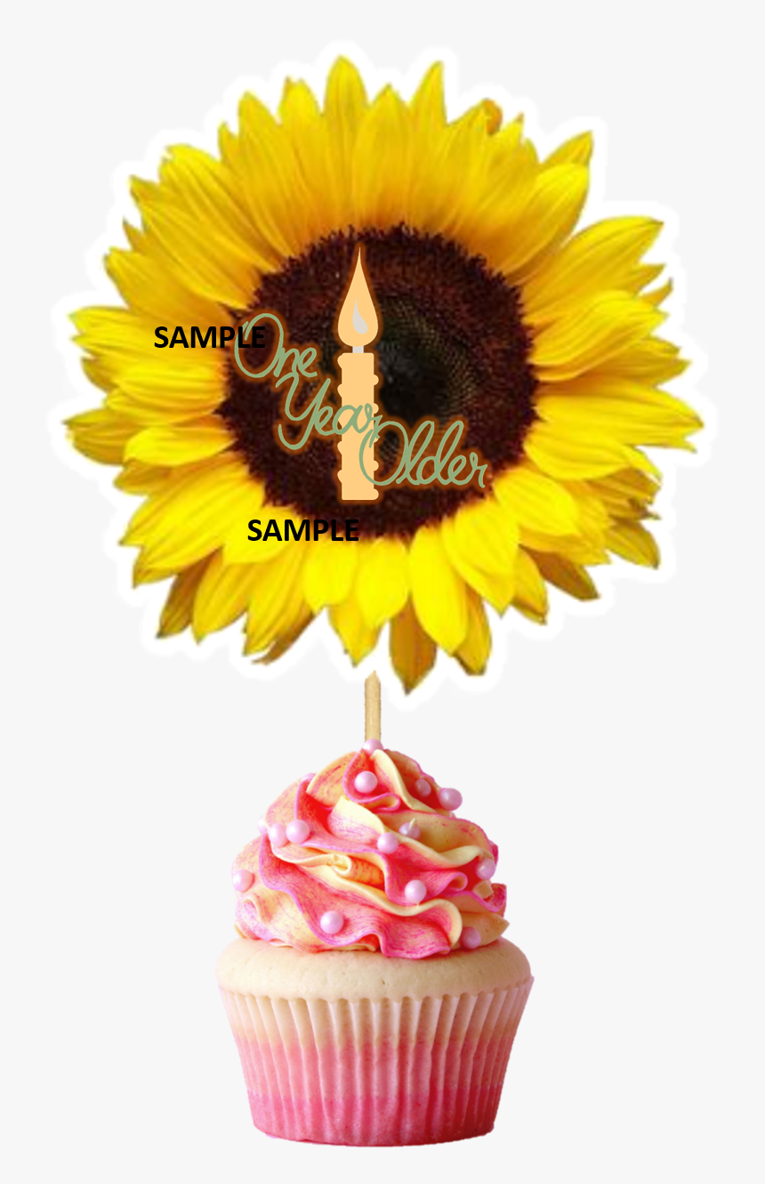 Sunflower Only, HD Png Download