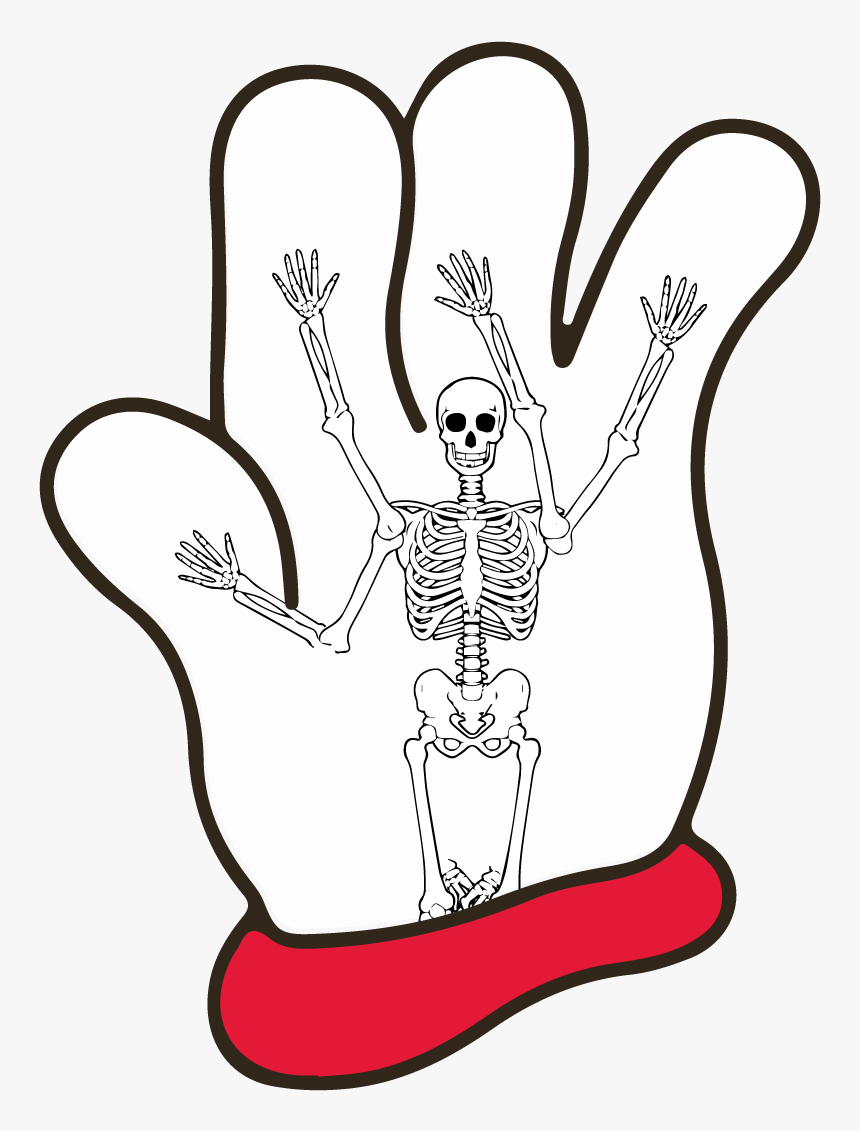 Hamburger Helper Glove Skeleton, HD Png Download