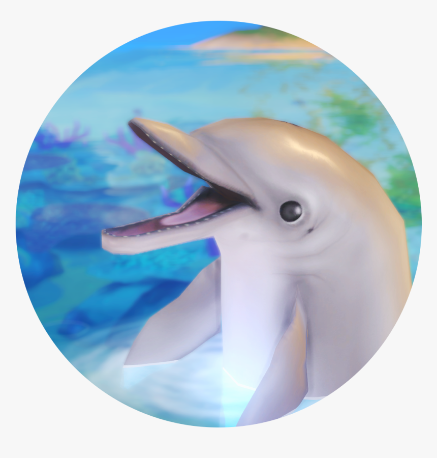 Common Bottlenose Dolphin, HD Png Download