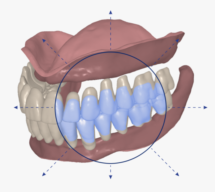 Signatureteeth - Signature Digital Dentures, HD Png Download