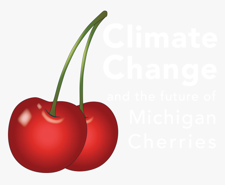 Cherry, HD Png Download
