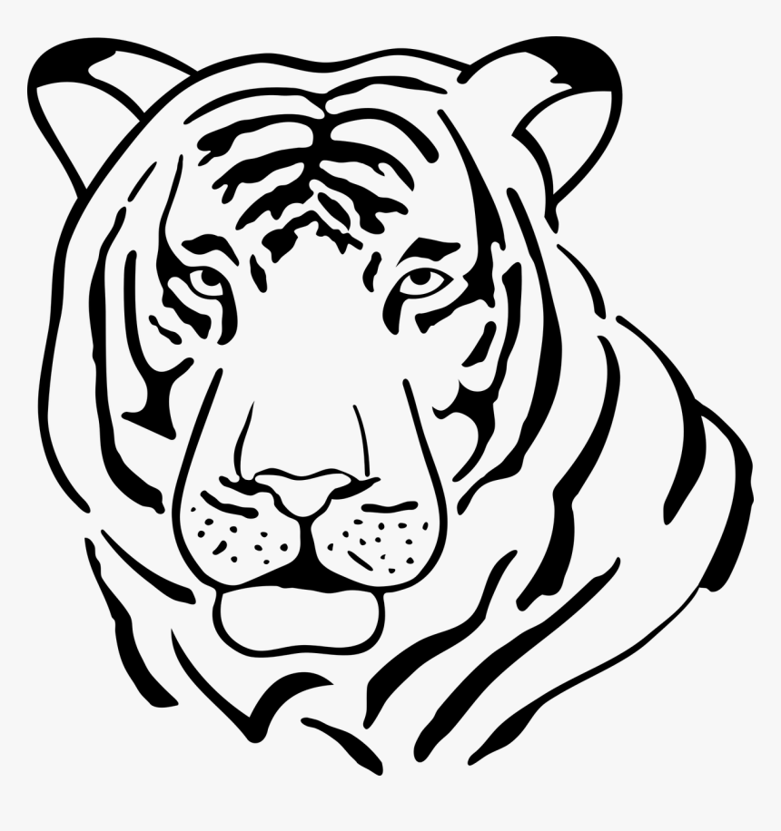Black Vector White Tiger - Tiger Symmetry Worksheet, HD Png Download