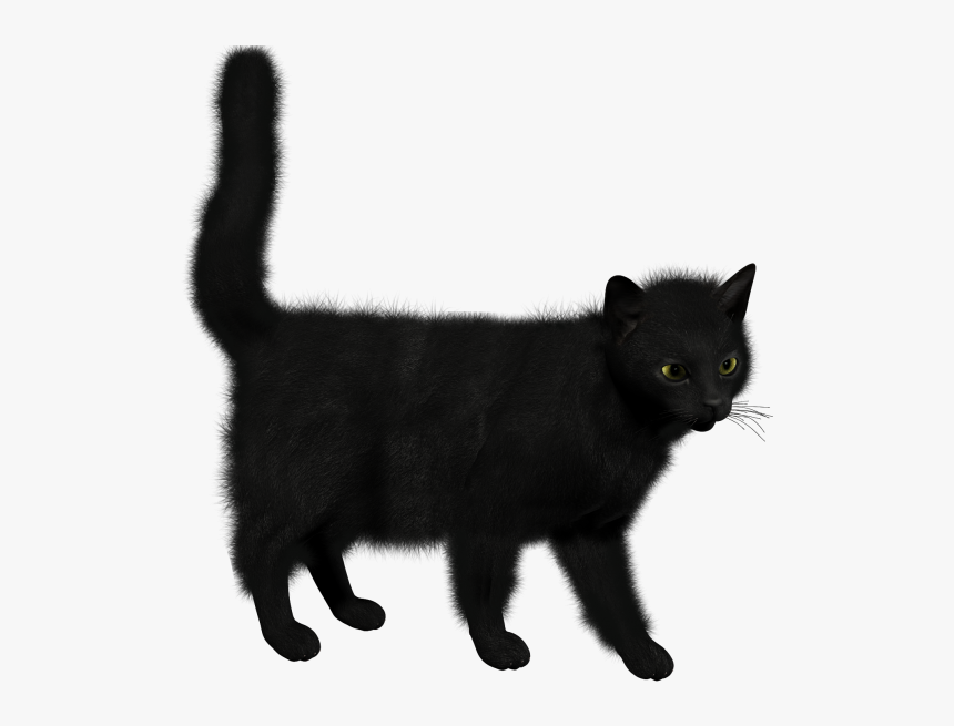 Black Cat Clipart - Black Cat Png, Transparent Png