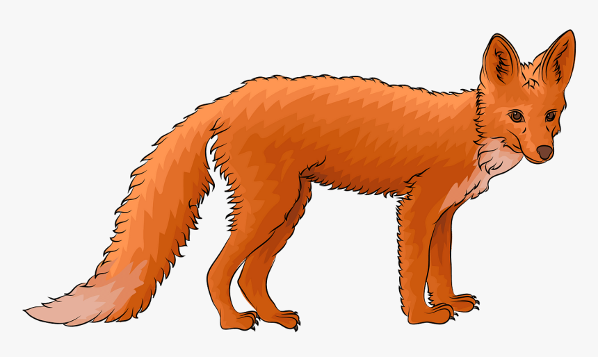 Swift Fox, HD Png Download