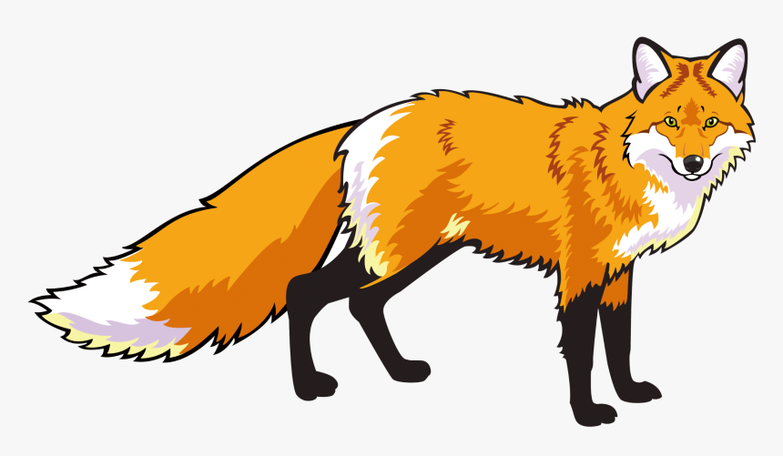Swift-fox - Red Fox Standing, HD Png Download