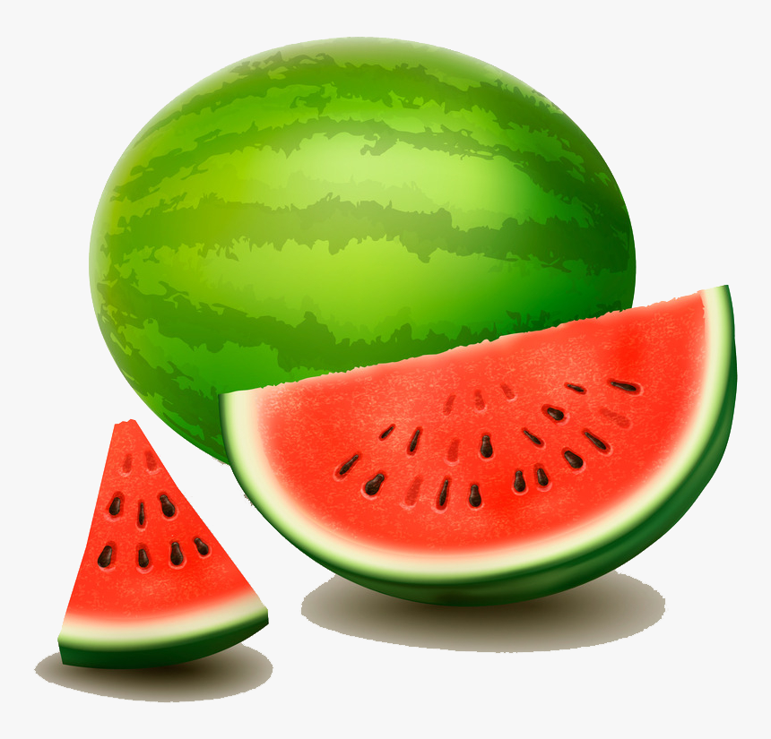 Citrullus Lanatus Drawing Photography Watermelon Illustrator - Drawing Watermelon Png Hd, Transparent Png