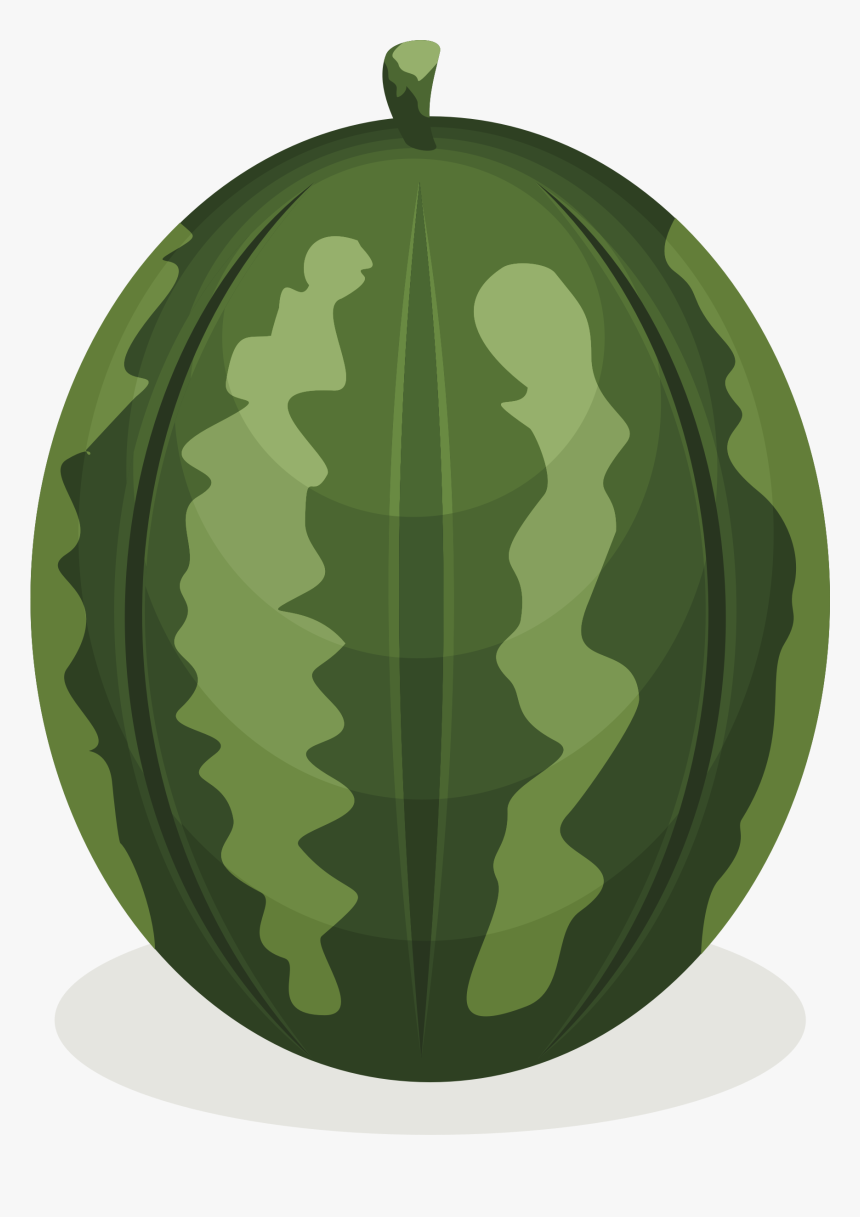 Watermelon Clipart Whole - Illustration, HD Png Download