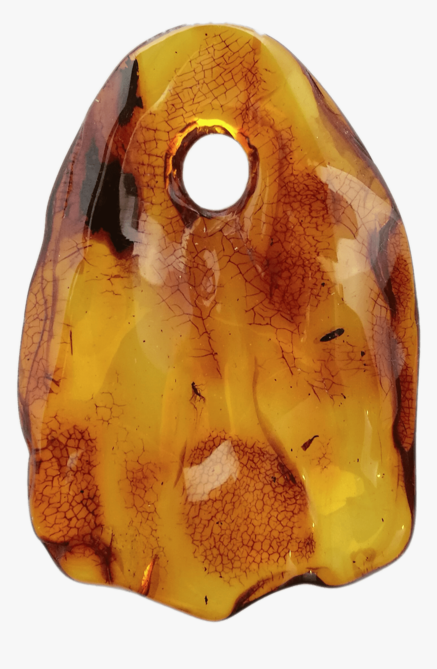 Amber Pendant With Small Insect - Carved Amber Pendant, HD Png Download