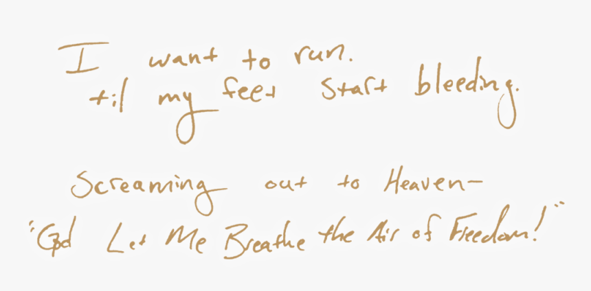 Wild Lyric Callout 2 - Light, HD Png Download