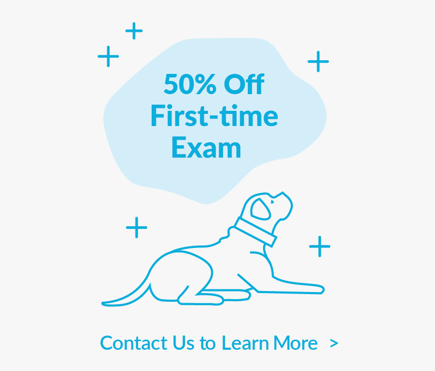 Poster, HD Png Download