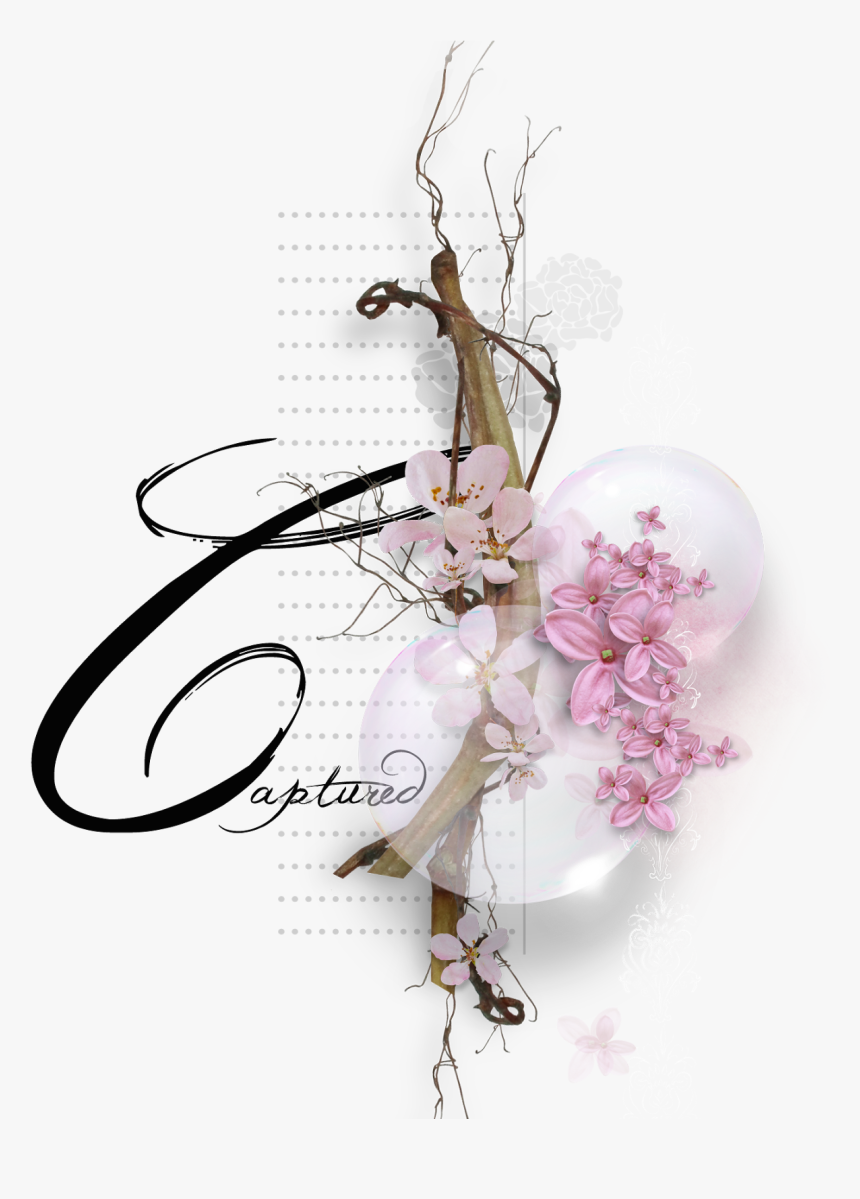 ＊flowers From Botanical Garden ＊ - Illustration, HD Png Download