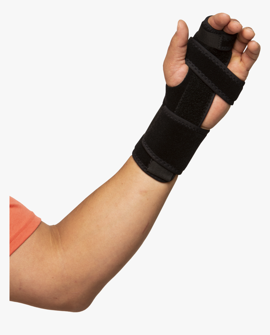 Sleeve, HD Png Download