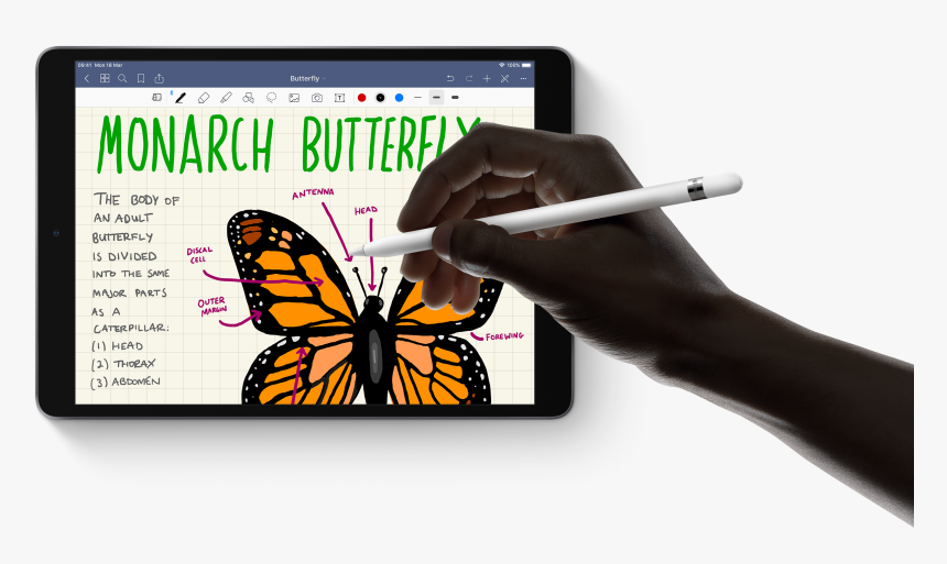Transparent Ipad Air Png - Apple Pencil Ipad Air 2019, Png Download