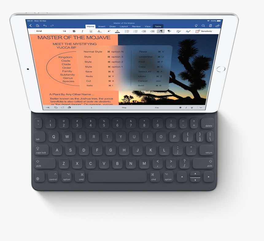 Ipad Air - スマート キーボード Ipad Air, HD Png Download