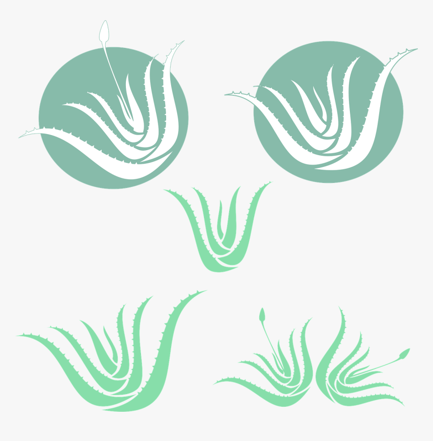 Aloe Vera Silhouette, HD Png Download