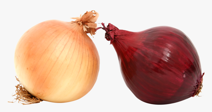 Transparent Onions Clipart - Yellow Onion, HD Png Download