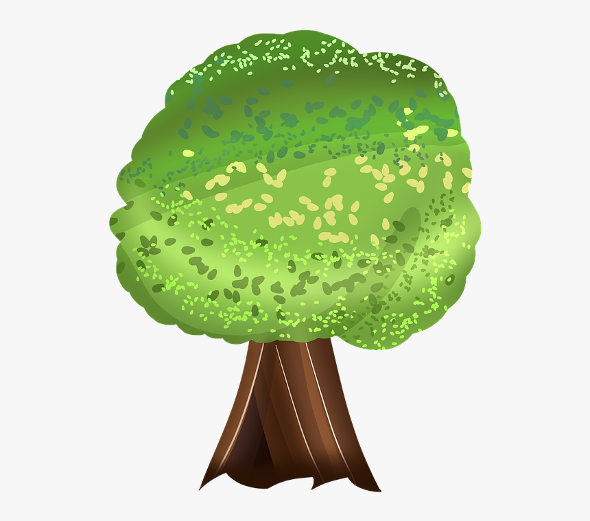 Tree, Big Trees, Forest, Leaf, Big Woods, Banyan - Illustration, HD Png Download
