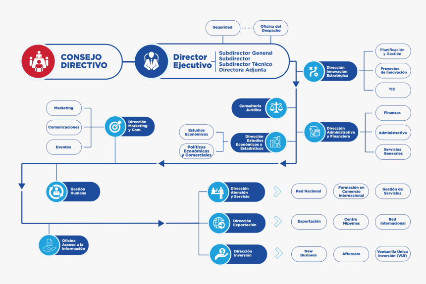 Organization Chart - Organigrama De La Ley 630 16, HD Png Download
