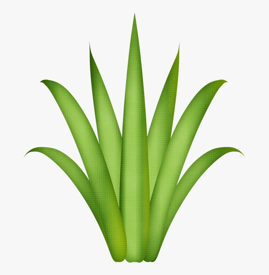 Drawing Treestree Drawingsflamingospaper Flowersgrassclip - Festa Tropical Para Imprimir, HD Png Download