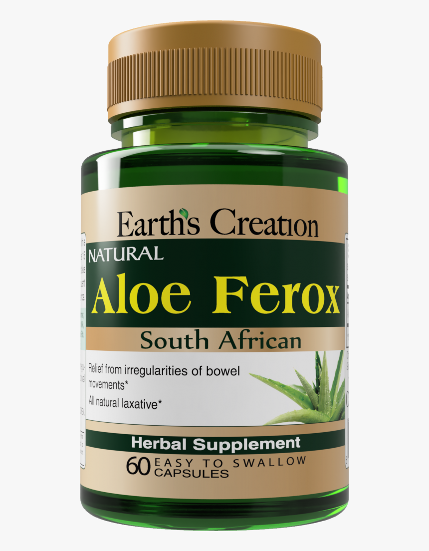 Fungus, HD Png Download