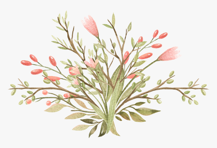 Mexican Flowers Png - Grevillea 'superb', Transparent Png
