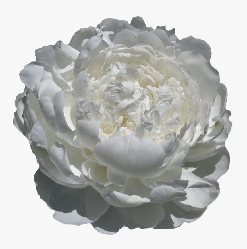 Artificial Flower, HD Png Download
