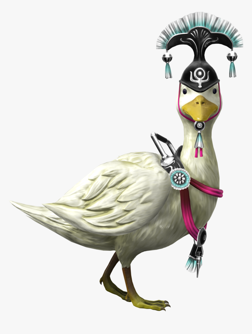 Parrot, HD Png Download