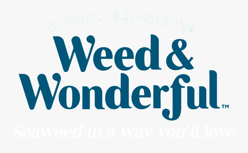 Transparent Seaweed Png - Graphics, Png Download