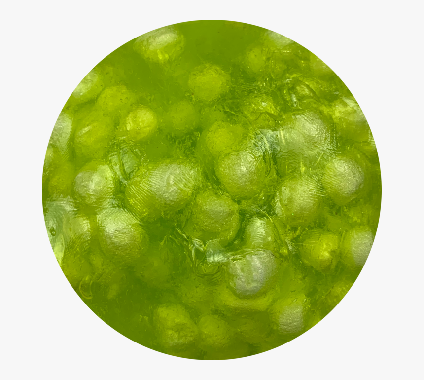 Circle, HD Png Download