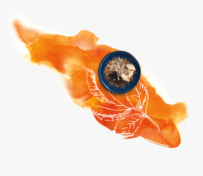 Still Life, HD Png Download