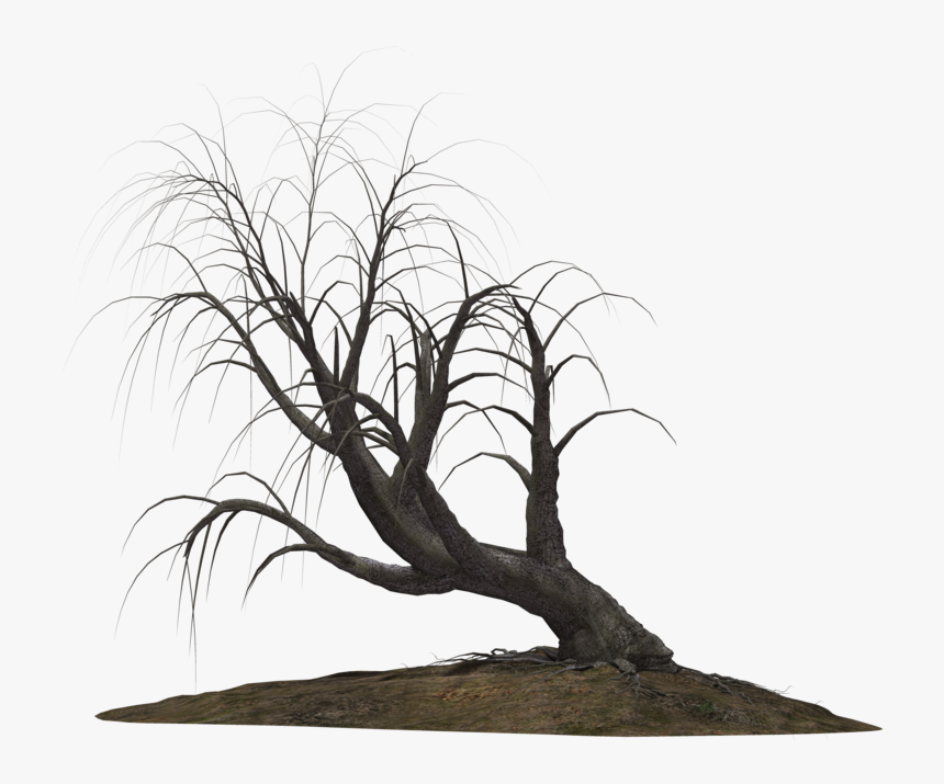 Transparent Creepy Eyes Png - Creepy Tree Transparent Background, Png Download