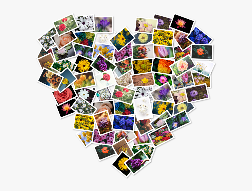 Figrcollage 2.5 For Mac, HD Png Download