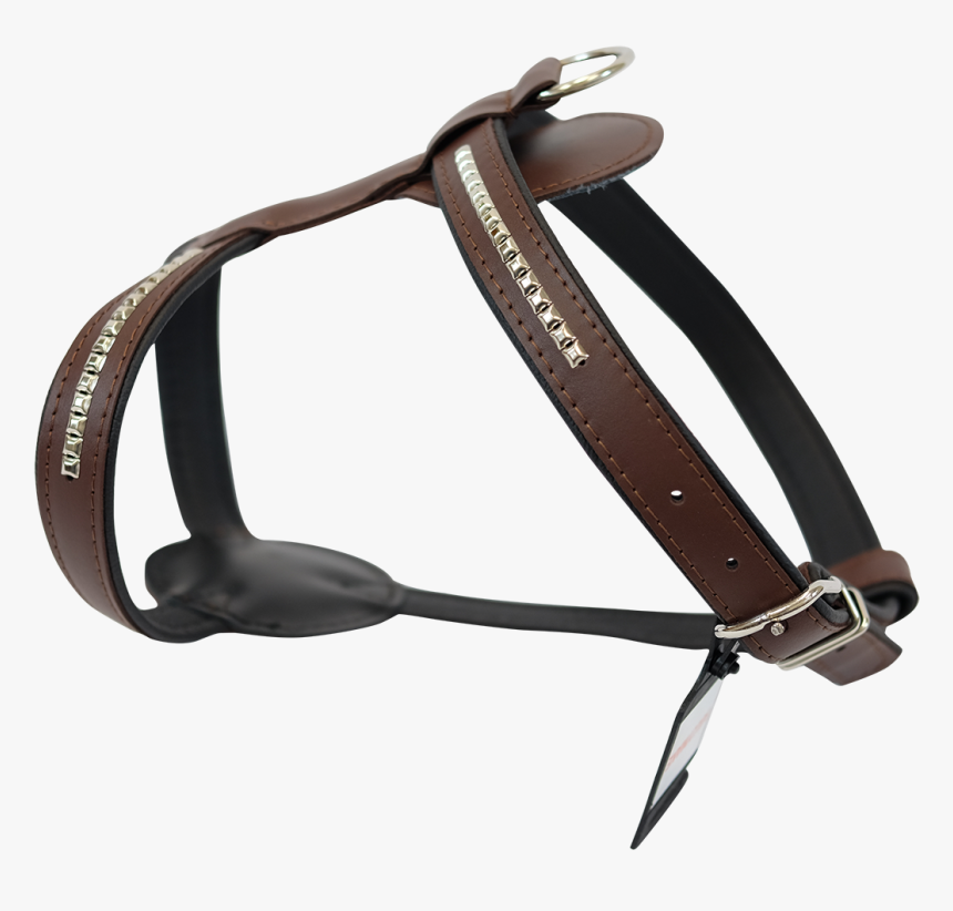 Horse-tack - Horse Harness Png, Transparent Png