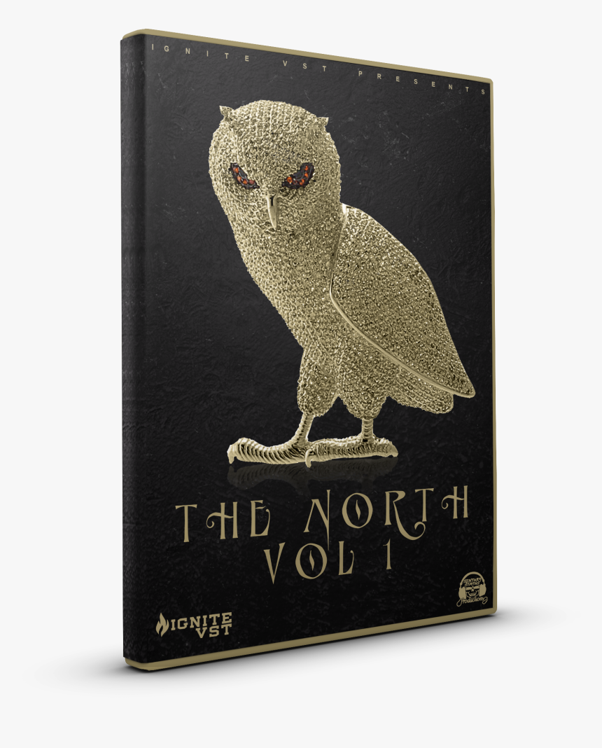 Great Grey Owl, HD Png Download