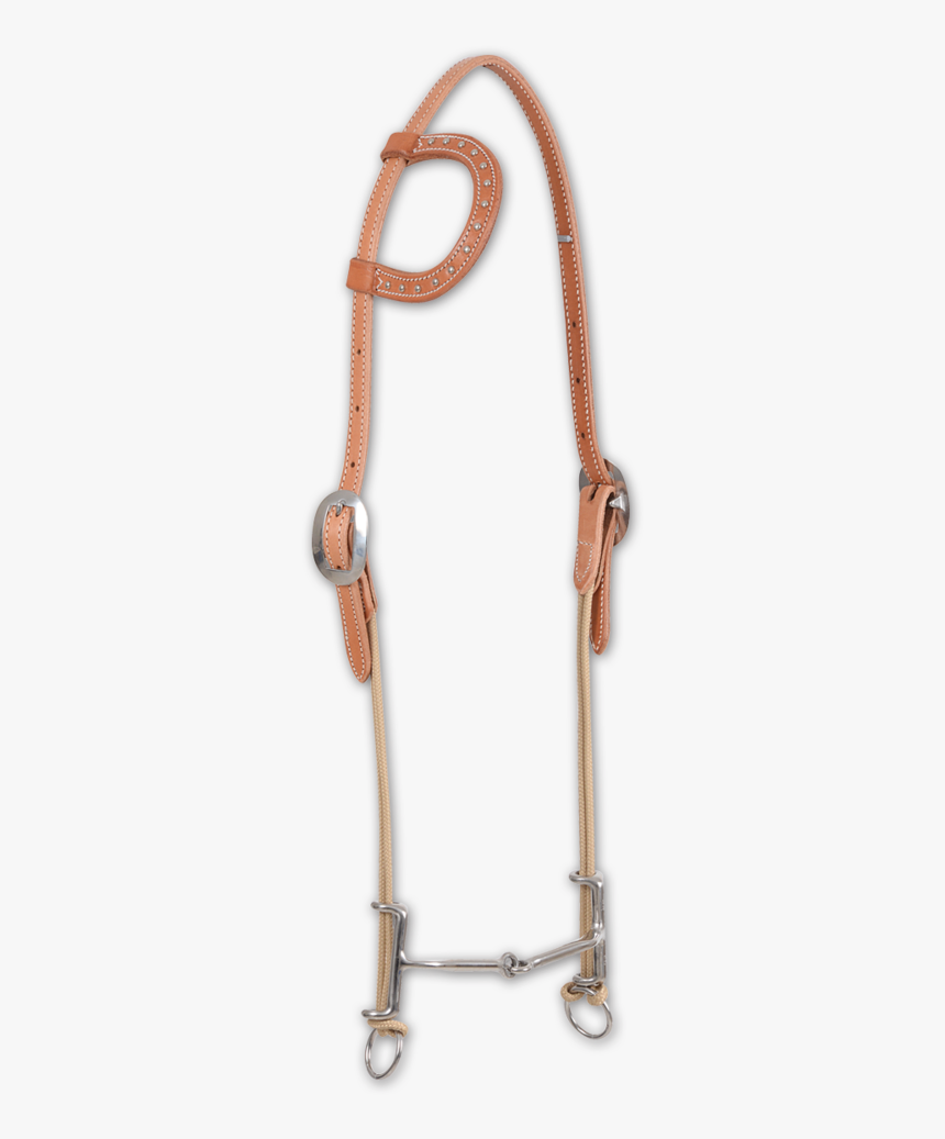 Hflg17 - Halter, HD Png Download