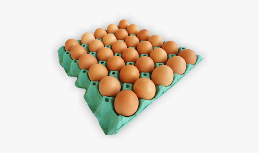 Ovo Orgânico Blister Com 30 Unidades Fazenda Da Toca - Promoção De Ovo De Galinha, HD Png Download