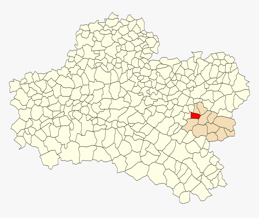 Floral Design, HD Png Download